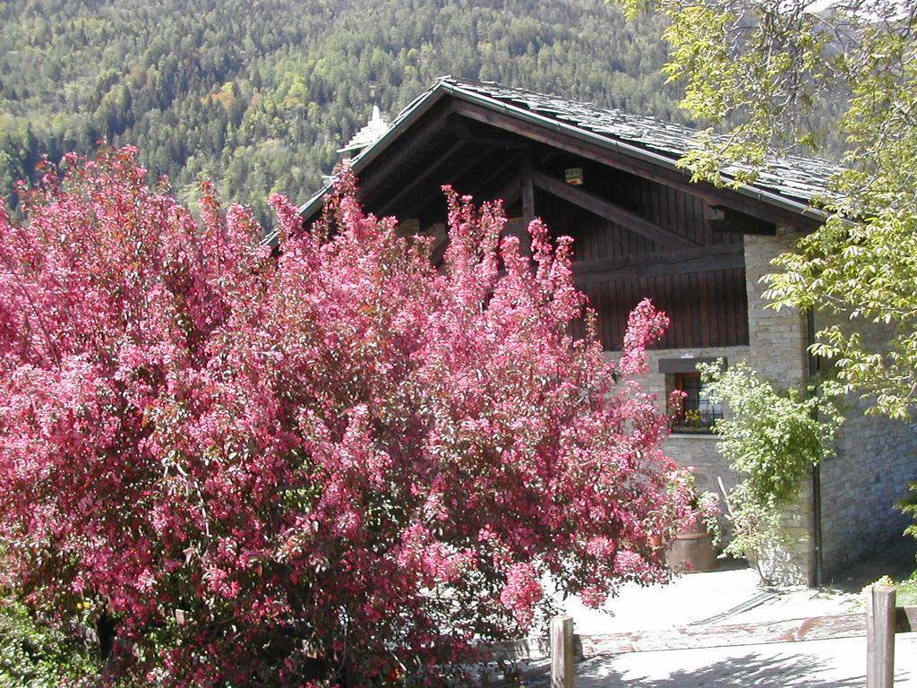Bed and Breakfast La Paquerette Ла-Саль Номер фото